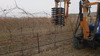 Vineyard Pre-Pruning
