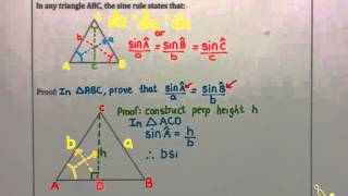 Celebrity 2D Trig - Sine Rule Net Worth
