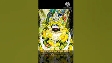 SATHANI BAJE LAA SHYAM KO NAME BABA JOHALI BARDAGO Viral Shots Newvideo Songs Jaishreeshyam 