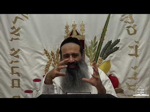 יא מדרגות במלכות שבמוחין 12 | הכניסה לעולם הקבלה | הרב מאיר מועלם