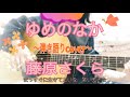 【歌詞付】ゆめのなか/藤原さくら(ギター弾き語りfull cover)(yumenonaka/Sakura Fujiwara)