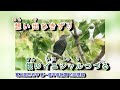 A09 -  802  銀のイニシャル 畑中葉子