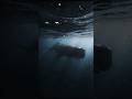 This Ocean Sound Was Louder Than a Nuclear Explosion #youtubeshorts #deepsea #facts