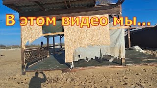 Самая крутая зимняя прогулка с овчарками в феврале Последствия шторма века.