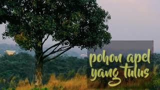 Pohon Apel yang tulus