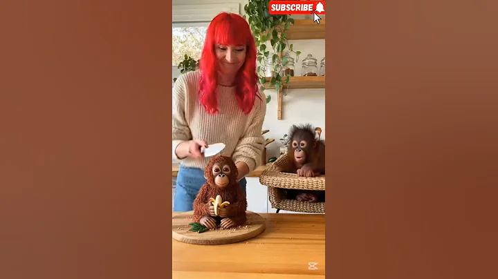 Video 11860761: cats reaction funny pets, cats funny pets animals