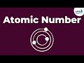 Unlocking Atomic Secrets: The Role of Protons and Neutrons in Chemistry