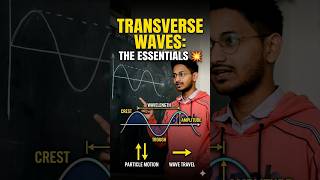 Transverse wave 💯🌊 #physics #education