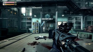 Singularity - ALL weapons and animations Pc