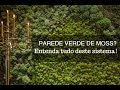 Tipos de Jardim Vertical: MOSS PRESERVADO! Natureza,  Arte e  Arquitetura! - Vertical Garden