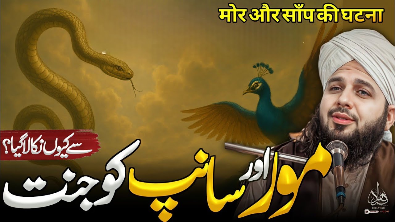 Mor Aur Saanp Ko Jannat Se Kyun Nikala Gaya | Ajmal Raza Qadri New Bayan