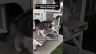 The Ultimate Backyard Cat Upgrade: #cat #pets #catvideo #cat #pets #catshorts