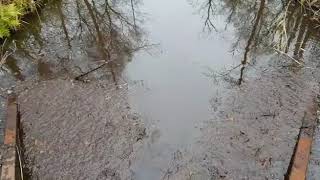 Vid 20181122 Wa0008 1