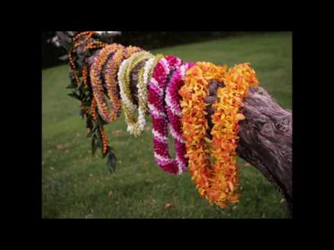 Video: May Day is Lei Day in Hawaii