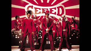 seeed - respectness