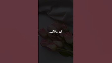 اكتب شي تؤجر عليه 🤍 ｜ قرآن كريم بصوت جميل
