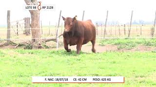 TerraGarba   PC Lote 9B