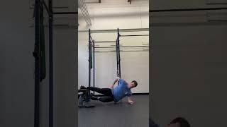 Copenhagen Plank Hip Taps