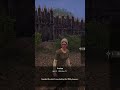 Noi Sateni In Comunitate #romania  #roleplay #survival #medievaldynasty