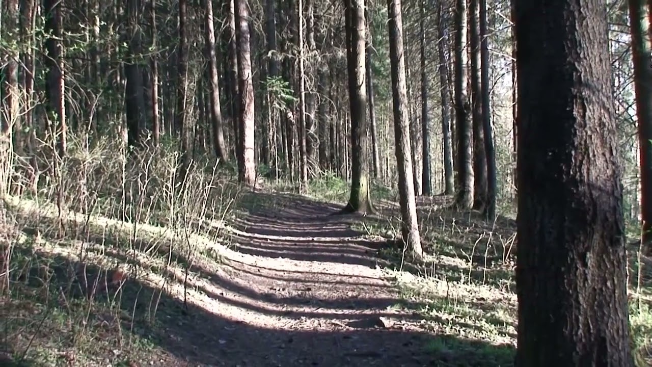 Видео-тест камеры Sony HDR UX5