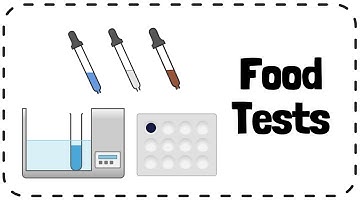 Food Tests (Starch, Sugar, Protein, Fat)