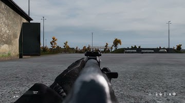 DayZ Just iron sight Z Target practice