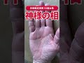 【手相実例】53歳女性の「神様の相」 #shorts #手相