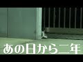 猛暑日にガリガリに痩せ細った子猫を保護〜あれから二年〜