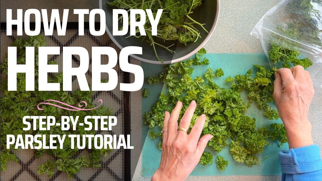Drying Herbs in a Dehydrator - Quick Guide for Best Color and Flavor