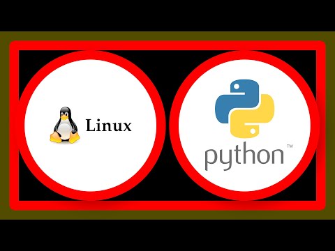 How to manually stop a Python script that runs continuously on linux