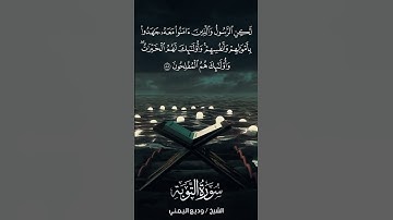 سورة التوبة | At-Tawbah | آية 88 | الشيخ وديع اليمني