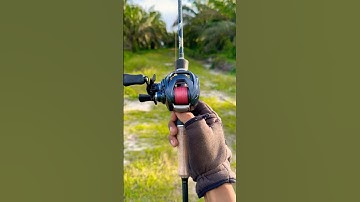 Daiwa steez a tw hlc #fishing #belajarmancing #trending #mancing #casting #fyp #shorts