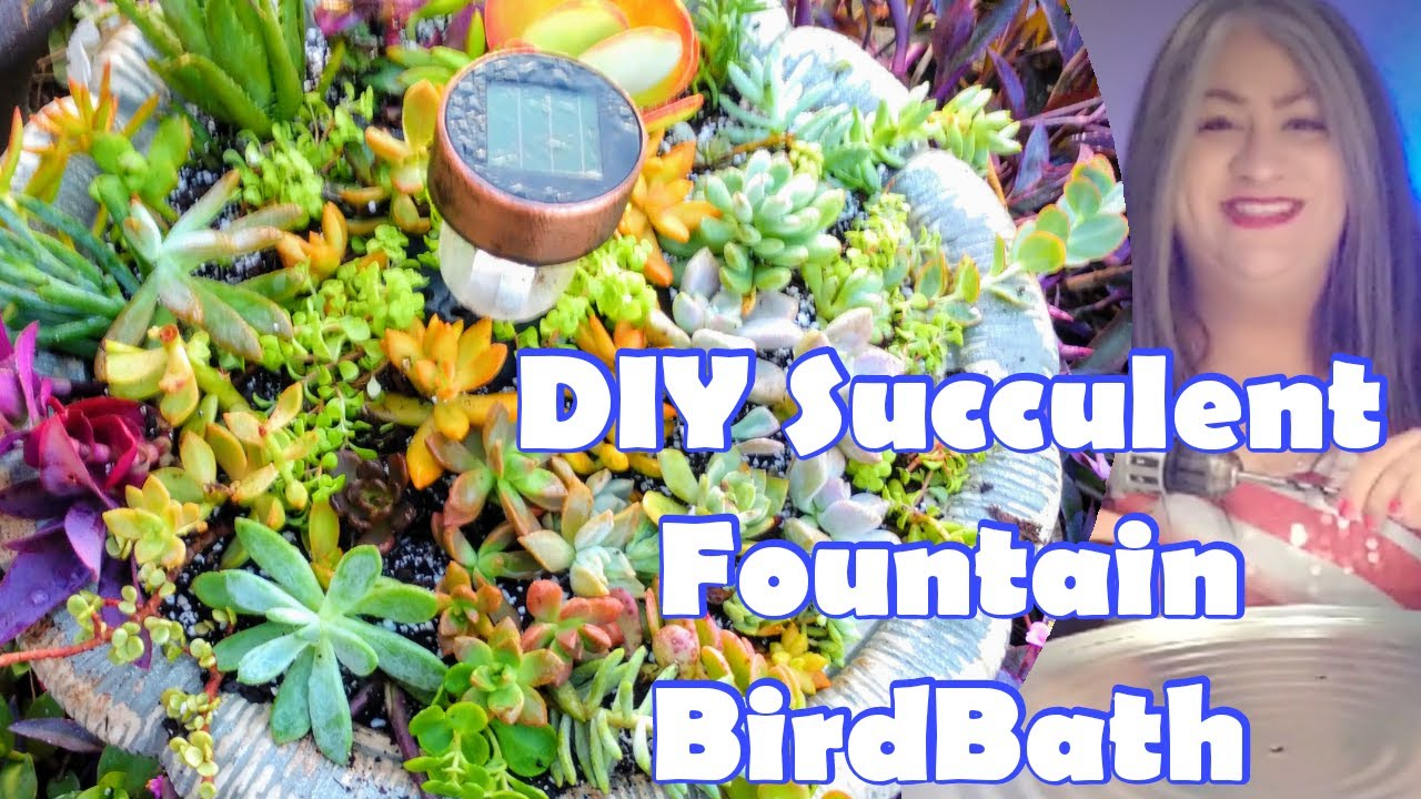 DIY Succulent Fountain Planter - YouTube