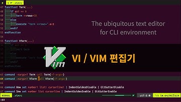 VI / VIM 편집기