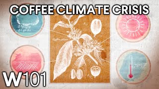 How Climate Change Is Threatening the Coffee Industry | World101 CFR