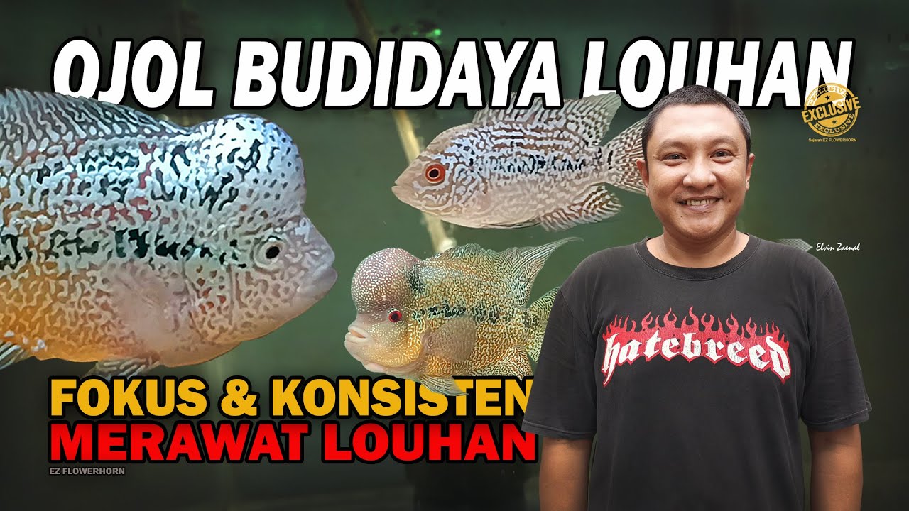 DRIVER OJOL SUKSES CETAK LOUHAN BERKUALITAS & HARUMKAN NAMA INDONESIA DI MANCANEGARA | EZ FLOWERHORN