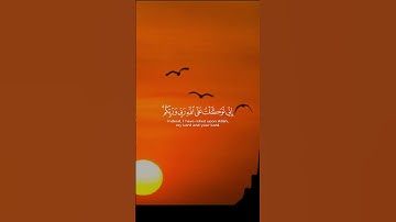 قران كريم راحه نفسيه ارح قلبك #quran #قران_كريم #رمضان_يجمعنا #قرآن #اكتب_شي_تؤجر_عليه #اكسبلور