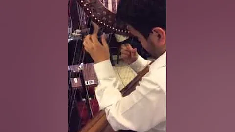 Nicolas Castaneda - joropo Harp