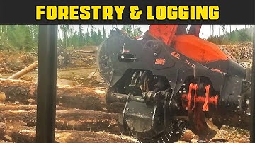 Operator Joshua Running A Southstar Processor - Real Life Forestry & Logging - FDR Logging