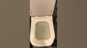 Bồn cầu bị tắc