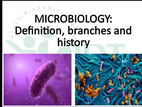 Definition, Branches and History of Microbiology