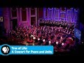 Concert's Impact and City Spirit