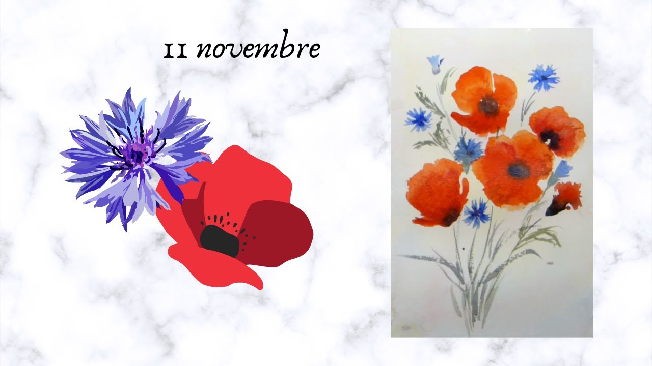 Aquarelle : 11 Novembre