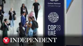 Watch again: Governments to launch Cop28 climate relief, recovery and peace declaration
