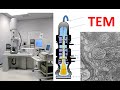 Electron microscopy | Transmission electron microscopy