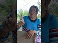 irmã vigia