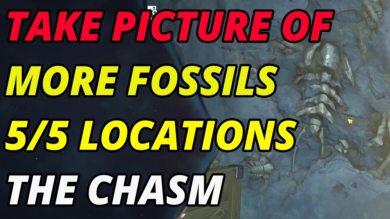 Take Picture Of More Fossils 5/5 Locations Genshin Impact YouTube