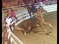What caused this big lick tennessee walking horse to throw his rider asheville nc