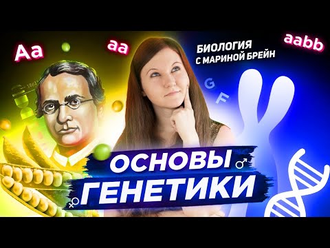 РЕШЕНИЕ ЗАДАЧ ПО ГЕНЕТИКЕ С НУЛЯ