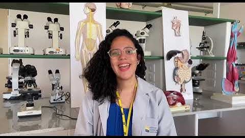 VCCA2022 -  Nancy Sotero - Electrophysiological and pupillometric measures